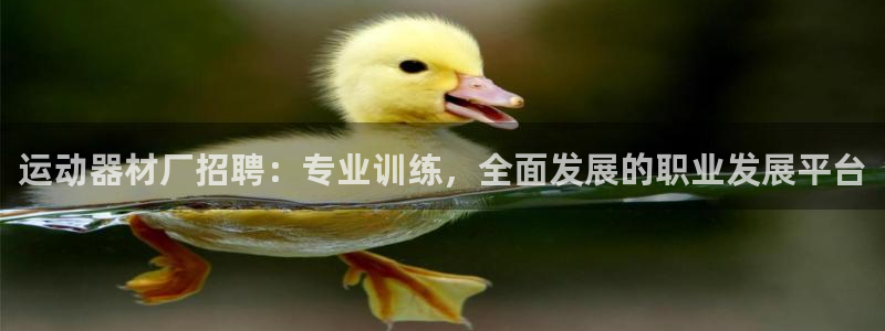 球速体育QsTY官网下载平台注册要钱吗：运动器材厂招