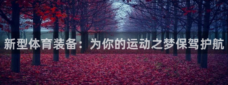 球速体育QsTY官方正版app娱乐：新型体育装备：为