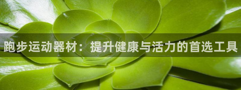 球速体育QsTY官方正版app集团官网网址：跑步运动