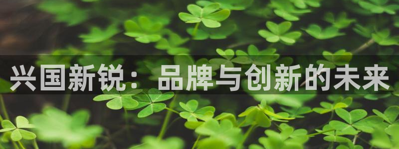 球速体育QsTY官方正版app集团官网首页：兴国新锐