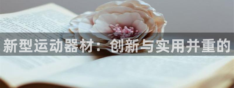 海南球速体育QsTY官网下载：新型运动器材：创新与实