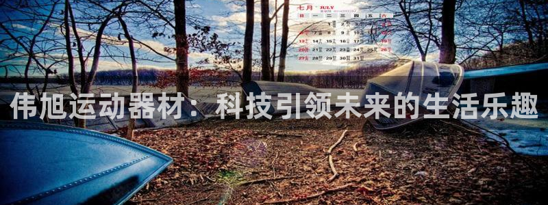 球速体育QsTY官网下载招商电话号码查询：伟旭运动器材：科技