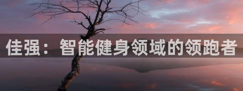 球速体育QsTY官网下载招商电话号码查询：佳强：智能