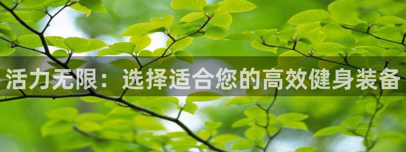 球速体育QsTY官网下载招商电话地址查询：活力无限：选择适合