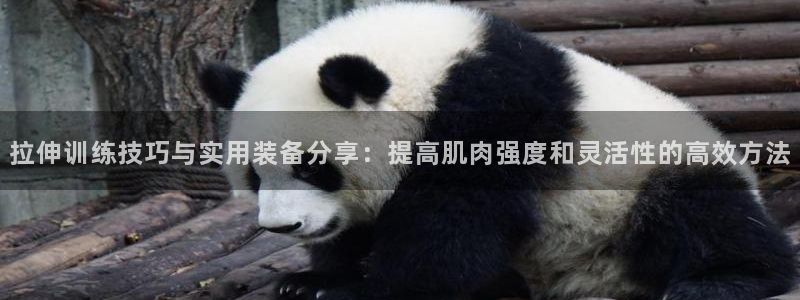 球速体育QsTY官方正版app官网